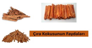 Çıra Kokusunun Sağlığa Faydaları Nelerdir?