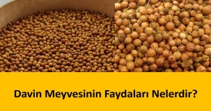 Davin Meyvesinin Faydaları Nelerdir?