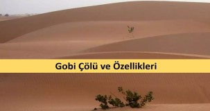 Gobi Çölü Türleri ve Özellikleri