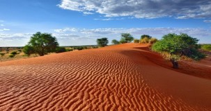 Kalahari Çölü Özellikleri ve Tarihi: Ekosistem, Türler ve Kültürel Miras