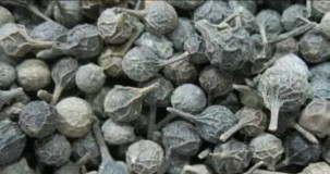 Kebabiye Cinselliğe Nasıl Fayda Sağlar?