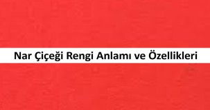 Nar Çiçeği Rengi: Anlamı ve Özellikleri