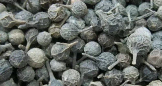 Kebabiye Cinselliğe Nasıl Fayda Sağlar?